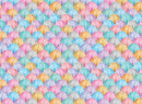 Swim With Me Scalloped Shells - Multi