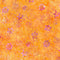 Tonga Sunset Overlapping Circle Floral - Orange