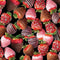 True Romance Chocolate Dipped Strawberries - Black