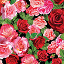 True Romance Rose Garden - Multi