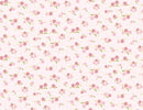 Tutu Cute Sweet Roses - Light Pink