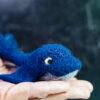 Whale Needle Felting Kit (advanced Beginner)