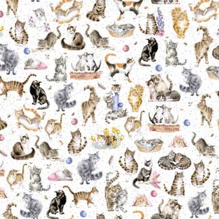 Whiskers & Paws Directional Cats - White