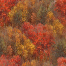 Whitetail Country Forest Texture - Multi