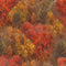Whitetail Country Forest Texture - Multi