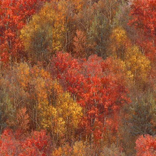 Whitetail Country Forest Texture - Multi
