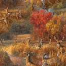 Whitetail Country Frolicking Deer - Multi