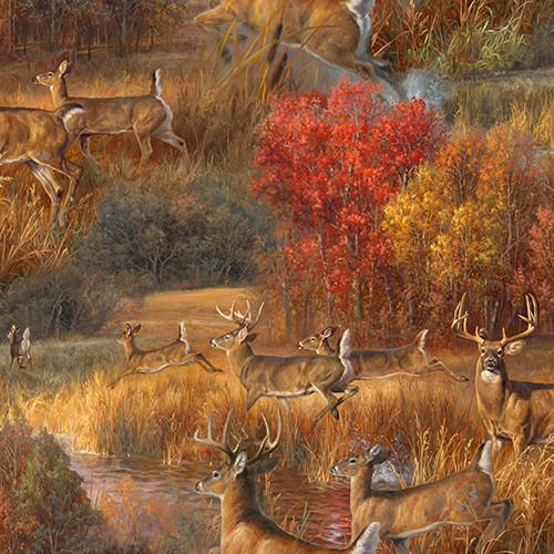 Whitetail Country Frolicking Deer - Multi