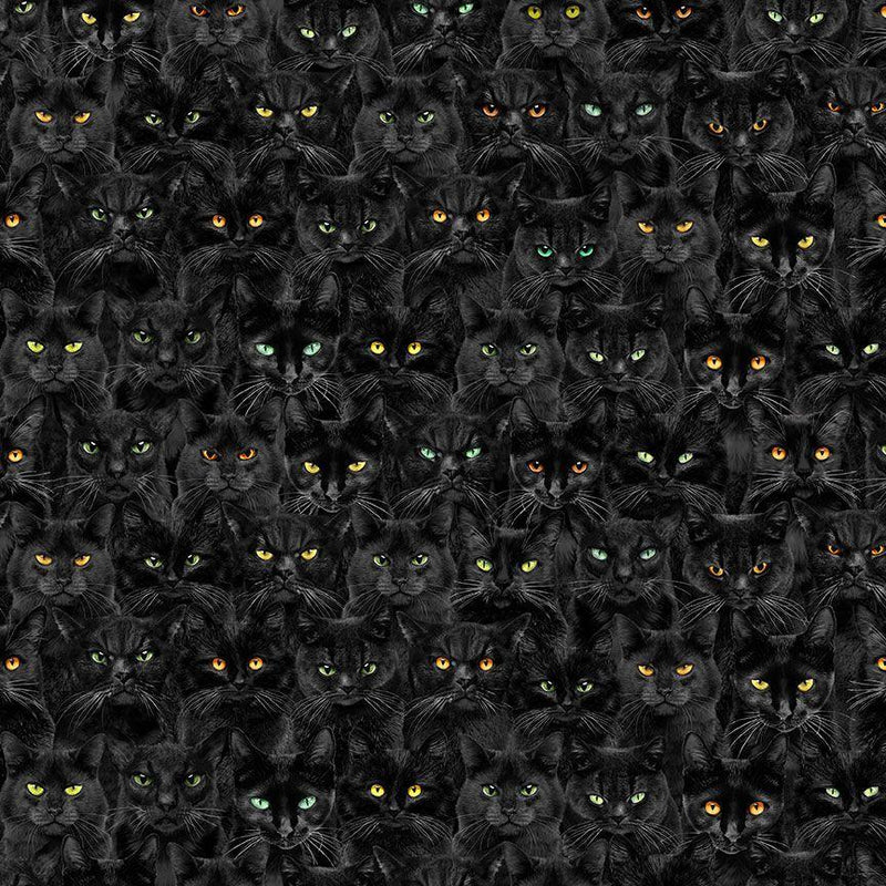 Wicked Black Cats Magic