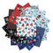 Winter Wonder Comfort Flannel 10" Squares - 42 pcs