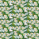 Woodland Daisies - White