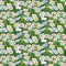 Woodland Daisies - White