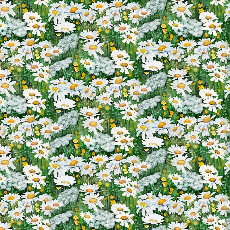 Woodland Daisies - White