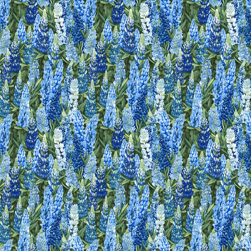 Woodland Lupine - Blue