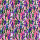 Woodland Lupine - Multi