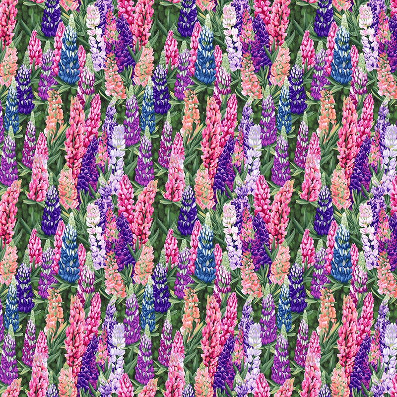 Woodland Lupine - Multi