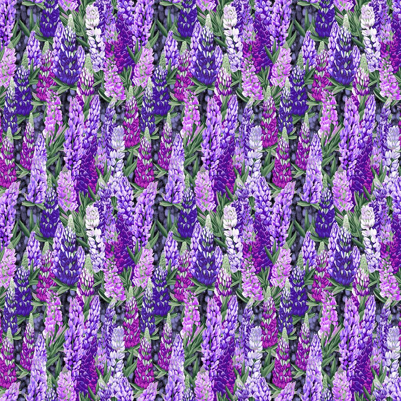 Woodland Lupine - Purple