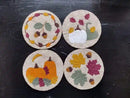 Autumn DIY Coasters Kit