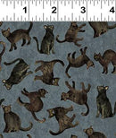 All Hallows Eve Black Cats - Gray