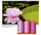 Aurifil Color Builder 2022 May - Water Lily