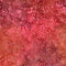 Bali Sweet Rose II Fern - Red
