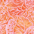 Bali Sweet Rose II Monstera - Creamsicle