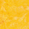 Batik Basics - Opulent Oranges - Cornmeal
