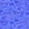 Blue Meadow Flower Wash - Light Royal Blue