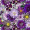 CW Tina's Garden Dahlias -  purple