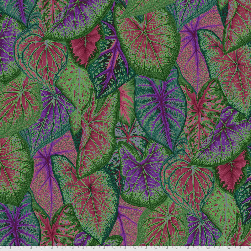 Caladiums - Dark  Philip Jacobs for the Kaffe Fassett Collective