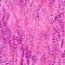 Chameleon Basic - Pink/Purple