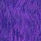 Chameleon Basic - Purple
