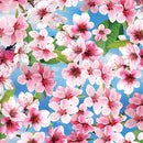 Cherry Hill Cherry Blossoms - Blue