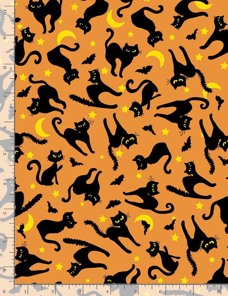 Creep it Real - Black Cats