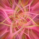 Dream Big Dance - Blooms