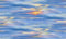 ES-Landscape Medley 554 Blue Sky