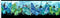 Elysian Butterfly Border Stripe - Blue