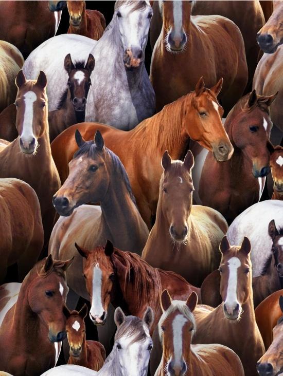 Farm Animals - Packed Horses - Black