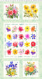 Flower Shop - 24" panel Light Mint