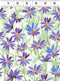 Flower Shop - Daisies - Purple