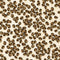 For the Love of Coffee -Little Coffee Beans - Cream