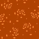Harvest Rose Flannel  Little One - Orange