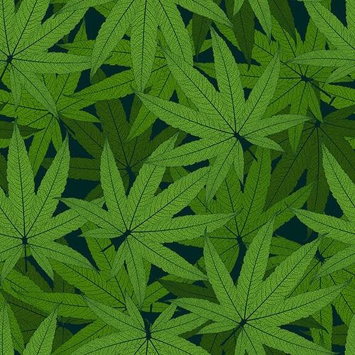 Herban Sprawl Cannabis Leave All Over
