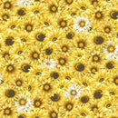 Honey Bee Farm - Packed Sunflowers and Daises - Yellow