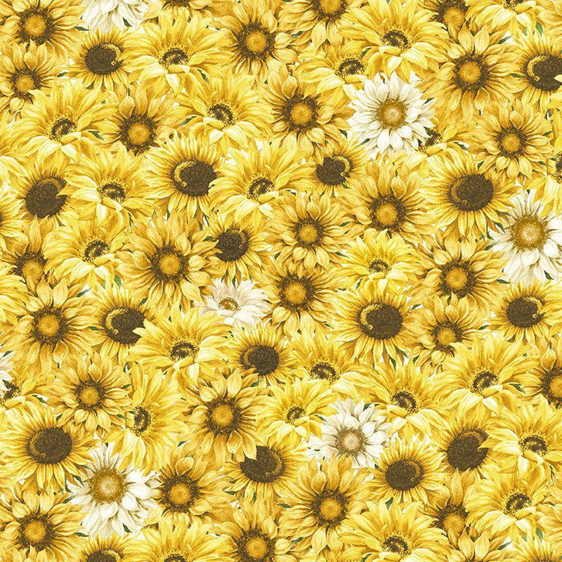 Honey Bee Farm - Packed Sunflowers and Daises - Yellow