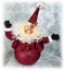 Ice Cream Shot - Cranberry Santa