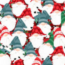 I'll Be Gnome for Xmas -Packed Gnomes  Multi