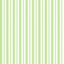 Kimberbell Basics - Green Mini Awning Strip