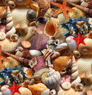 Landsccape Medley-Seashells