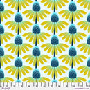 Love Always AM Echinacea - Maize